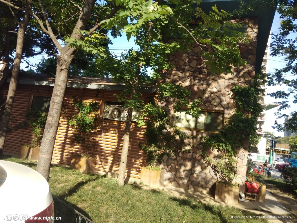 绿树 小屋