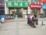 德祥医药