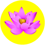 莲花不干胶