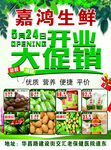 超市彩页传单