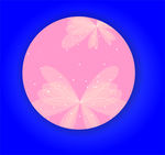 精美花纹