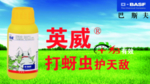 巴斯夫英威