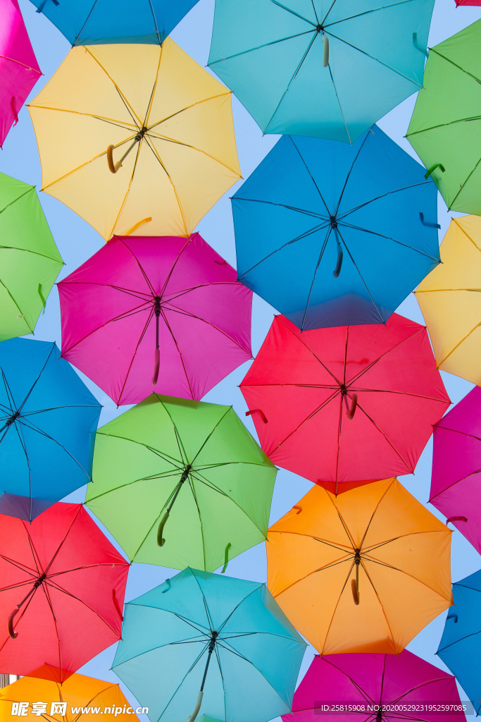 雨伞花伞遮阳伞折叠伞图片