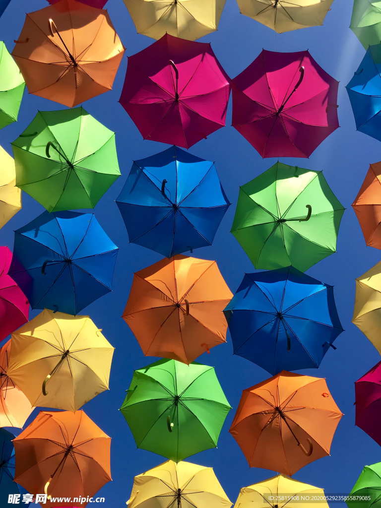 雨伞花伞遮阳伞太阳伞图片