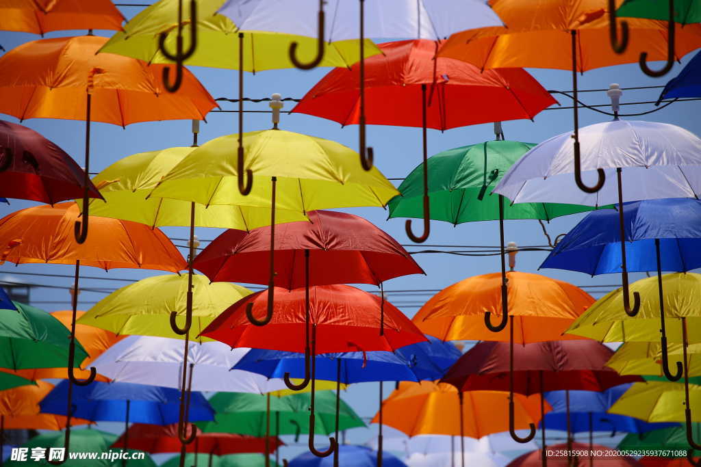 雨伞花伞遮阳伞太阳伞图片