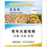 粮食收购名片