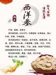 西洋参