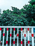 防护栏杆