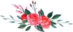 花边花纹