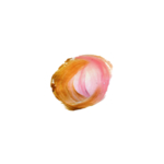彩墨手绘