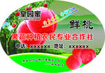 桃子不干胶