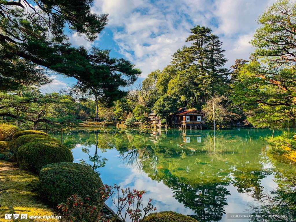 池塘 沼泽 湖泊 湖水 水池