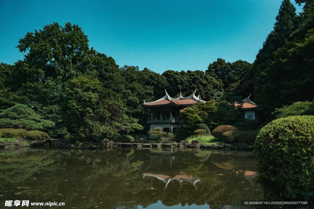 池塘