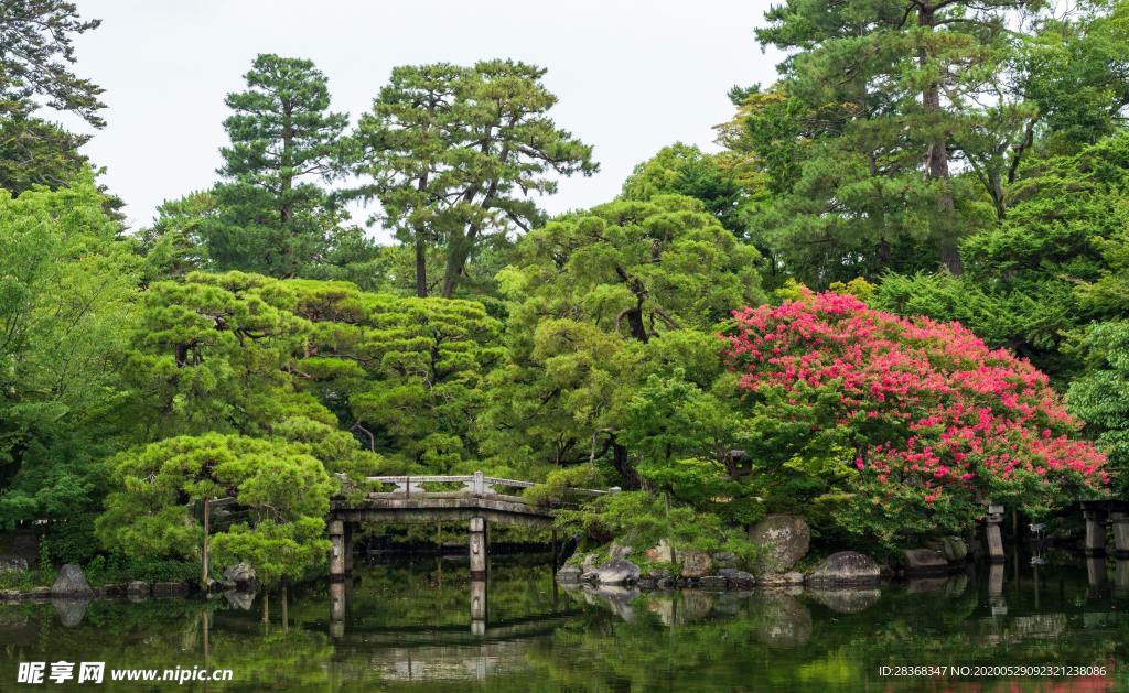 池塘