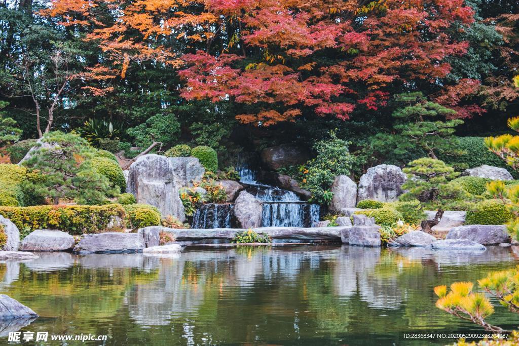 池塘
