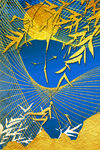 中国风装饰画