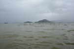 风景