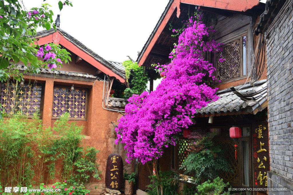 风景