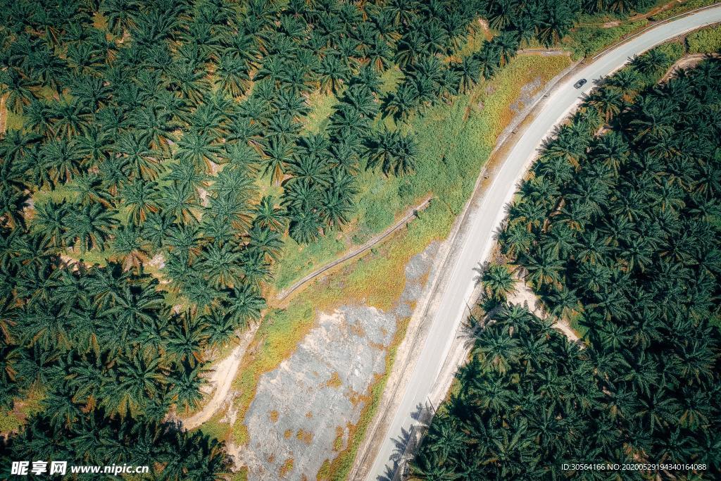 森林道路公路环保生态背景素材