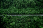 道路绿色清新俯视鸟瞰背景素材