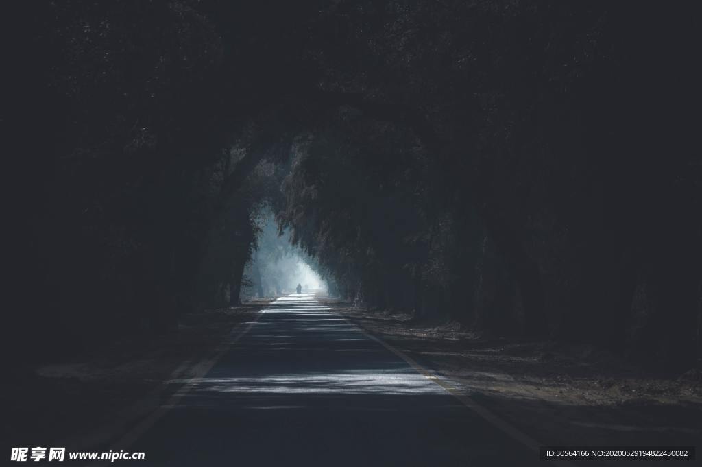森林道路浓密树木点光背景素材