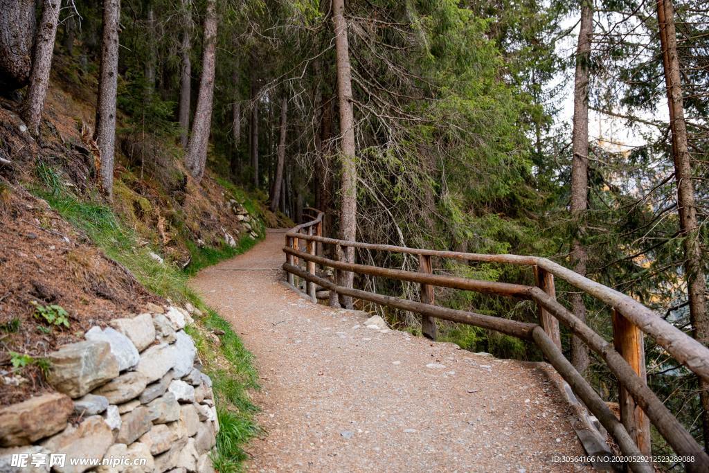 道路森林护栏爬山健身背景素材