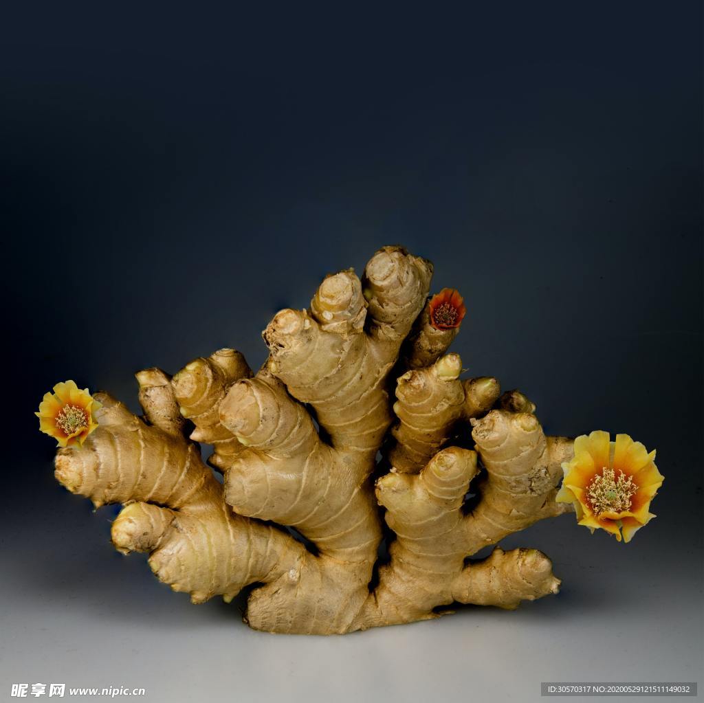食材