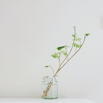 纯洁花艺