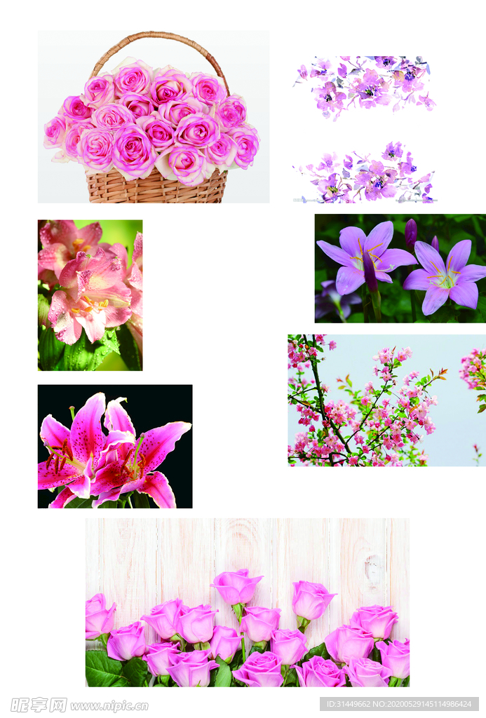 各种花类素材
