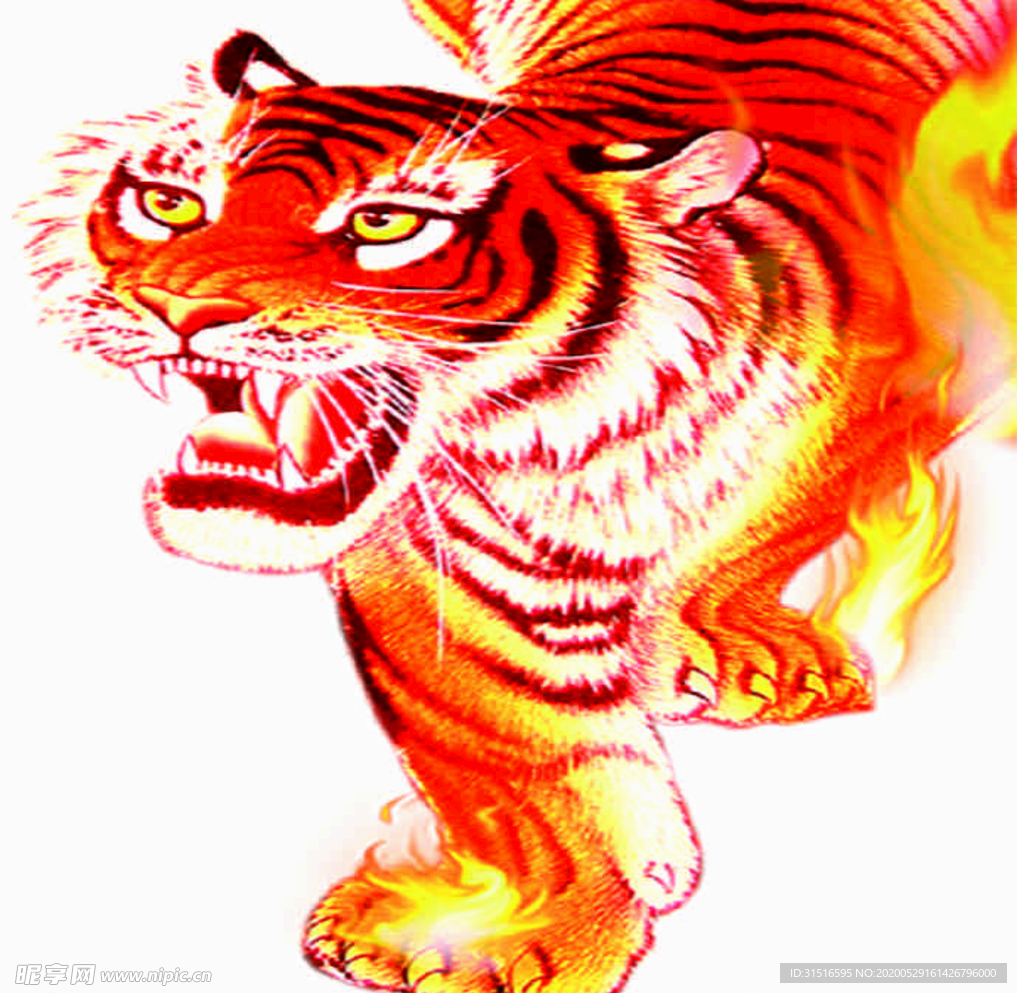 老虎 老虎图片 老虎像