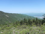 山