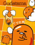 蛋蛋