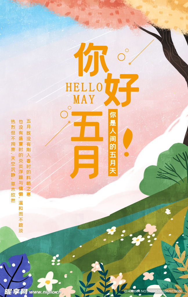 你好五月