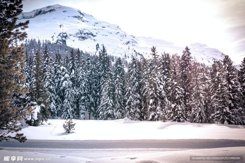 雪景