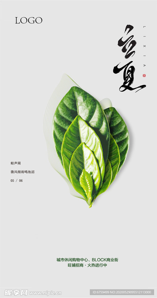立夏微信稿