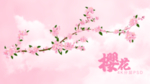 粉色绿叶樱花含天空背景