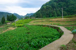 乡间小路