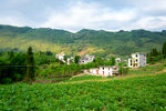 绿色山村