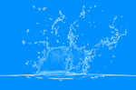 水花2