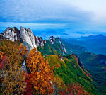 山