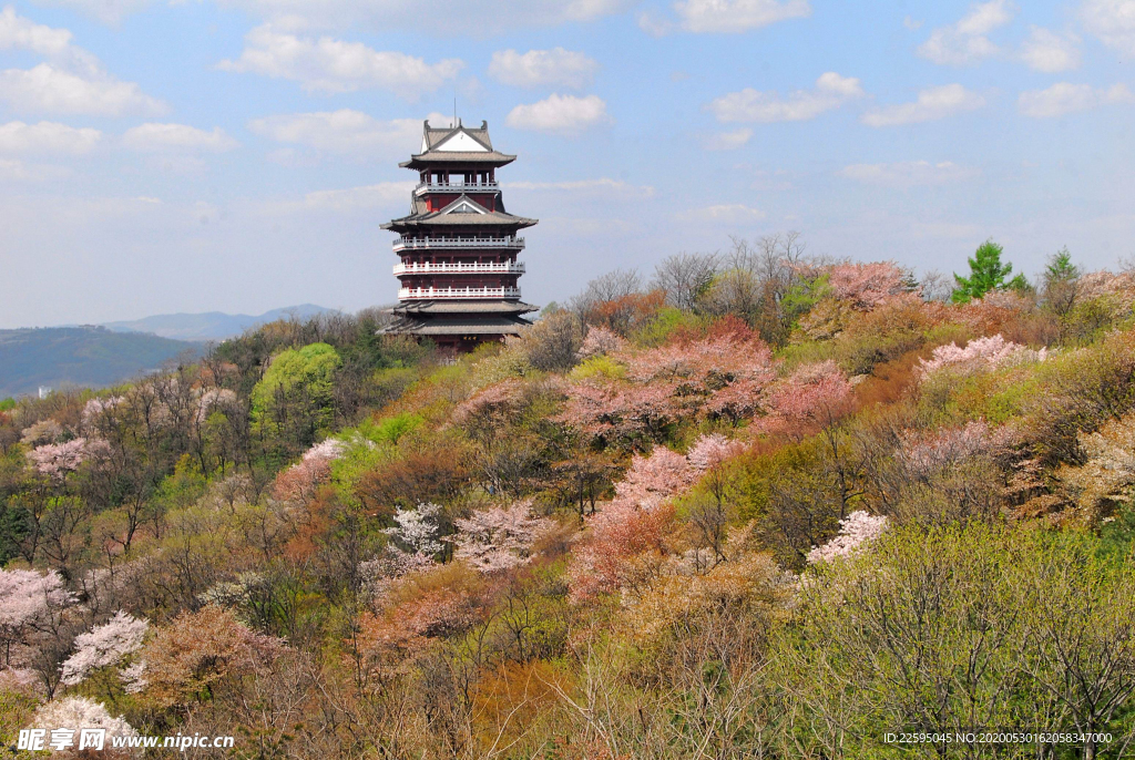 风景画