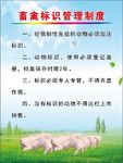 动物卫生监督制度 制度 动物免