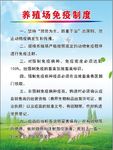 养殖场免疫制度 养殖场 猪 免