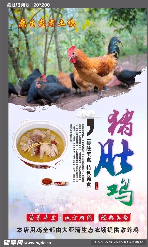 猪肚鸡海报