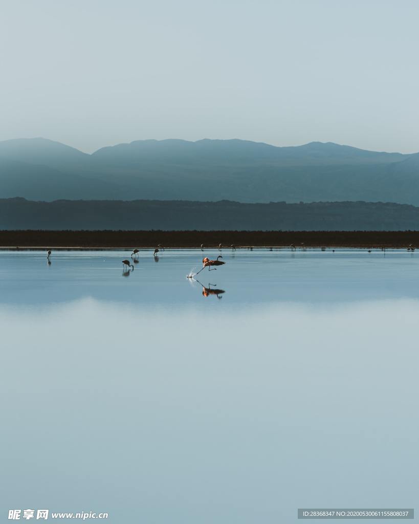 湖水