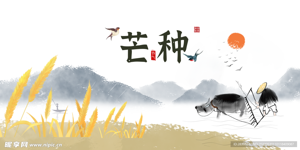 芒种