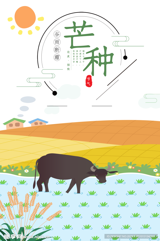芒种