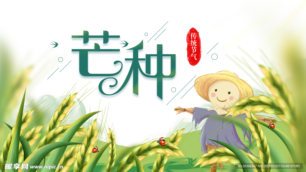芒种