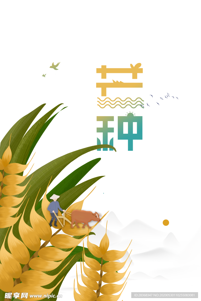 芒种