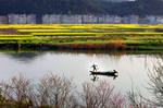 山水武宁 乡村旅游
